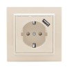 ERR16-028-200-USB EKF - Розетка 1-местная СП с/з Минск 16А бежевая с защ. штор. с USB 1А
