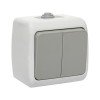 EFV10-023-30-54 EKF - Мурманск Выключатель 2-клавишный 10А IP54 серый