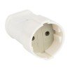 ASG10-10 EKF - Гнездо штепсельное б/з бел. 10А 250В PROxima
